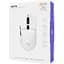 Мышь Proove Gaming Rate White [CMRTWR003001] [113938] - миниатюра 4