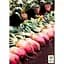 Буряк кормовий "Суміш кращих популярних сортів" ТМ "Весна"  15г (45534) - мініатюра 2