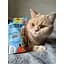 Ласощі для котів GimCat Nutri Pockets Fish лосось 60 г (G-419626) - мініатюра 5