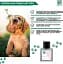 Парфюм Menforsan Lady dog ​​50 мл - миниатюра 4