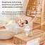 Портативный вентилятор DK WT-F70 White [136030] - миниатюра 4