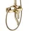 Душова система Rea Argus brushed gold з виливом REA-P7841, Золотий - мініатюра 3