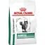 Сухой корм для взрослых кошек Royal Canin Diabetic 1.5 кг (39060151) - миниатюра 1