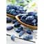 Саджанець Agro-Market Жимолость Югана (ранній термін дозрівання, морозостійкий сорт) 1 шт. в упаковці (43969) - мініатюра 2