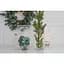 Ваза Trendglass Rose 25 см (35180) - мініатюра 4