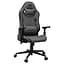 Игровое кресло Cougar EXPLORE F Jet Gray (EXPLORE JET GRAY F) - миниатюра 1