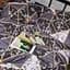 Набір наволочок Moon&Star Бязь Gold Люкс Marble Gold 60х60 см 2 шт - мініатюра 4