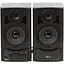 Акустическая система Gemix TF-10 Black - миниатюра 1