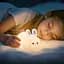 Ночной светильник Hoco HX16 Silicone lamp Rabbit [159424] - миниатюра 5