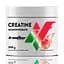 Креатин Creatine Monohydrate 300 грам - Кавун IronFlex vit0003892 - мініатюра 1