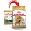 Сухий корм для дорослих собак Royal Canin Golden Retriever Adult з м'ясом птиці та кукурудзою 12 кг - мініатюра 2