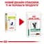 Вологий корм для дорослих котів Royal Canin Diabetic 85 г (40850011) - мініатюра 2