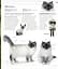 The Cat Encyclopedia - мініатюра 13