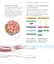 Science of Swimming. Transform Your Stroke, Improve Strength, Revolutionize Your Training - мініатюра 5