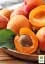 Саженец Agro-Market Абрикос Десертный (летний сорт, средний срок созревания) 1 шт. в упаковке (178183) - миниатюра 2