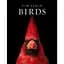 Birds. Photographs - мініатюра 1