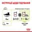Набір вологого корму  для дорослих котів Royal Canin Sensory Smell Jellyшматочки в желе 1.02 кг (12 шт. х 85 г) - мініатюра 8