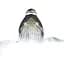 Утюг с парогенератором Tefal Pro Express Vision GV9823E1 [147524] - миниатюра 3