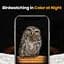Кормушка для птиц с камерой на солнечных батареях Smart Bird Feeder Camera AI Identifies - миниатюра 3