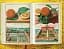J. C. Volkamer. The Book of Citrus Fruits - миниатюра 12