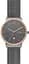 Годинник SKAGEN SKW7601 - мініатюра 1