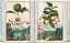 J. C. Volkamer. Book of Citrus Fruits. 45th Edition - миниатюра 8