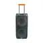 Портативная колонка Bluetooth NDR 1096A 2х8", портативная акустика с микрофоном, караоке колонка с радио (ST) - миниатюра 3