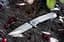 Ніж складаний Ruike P801-SF сріблястий - мініатюра 5
