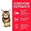 Сухий корм Hill's SP Kitten для котят та кішок у період вагітності та лактації з куркою 0.3 кг - мініатюра 2