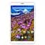 Планшет-телефон Adronix Mini TAB 7 3G Pink - миниатюра 6