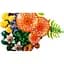 Конструктор LEGO Botanicals Лісові гриби (11505) - мініатюра 6