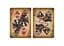 Карти гральні United States Playing Card Company Bicycle Gnomes (Special Limited Print Run) (13969) - мініатюра 5