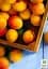 Саженец Agro-Market Абрикос Спринг Блаш 1 шт. в упаковке (39873) - миниатюра 2