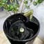 Умивальник VBI Agriento black glossy напольний VBI-019005, Чорний матовий - мініатюра 4