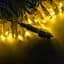 Гирлянда для улицы на фасад дома уличная новогодняя гирлянда 100LED 3.3V Line WW-1 10м - миниатюра 4