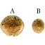 Силикон Keitech Swing Impact 3" EA#04 Violet (10 шт/уп) - миниатюра 2