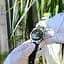 Годинник Casio AW-80-1AVEF - мініатюра 10