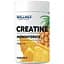 Креатин Willmax Creatine Monohydrate 500 г Ананас - миниатюра 1
