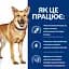 Сухий корм Hill’s Prescription Diet i/d для собак догляд за травленням з куркою 5 кг - мініатюра 7