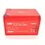 Батарея LiFePo4 Merlion LFP12.8-12EB - миниатюра 1