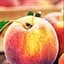 Саженец Agro-Market Персик Кондор (летний сорт, средний срок созревания) (35991) 1 шт. в упаковке - миниатюра 1