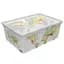 Коробка Qutu Light Box World, 25 л, 52,5х37х17,5 см, белый (LIGHT BOX с/к WORLD 25л.) - миниатюра 1