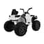 Електроквадроцикл Ramiz Quad ATV 2.4G 12 В, чорно-зелений (PA.BDM0906.2.4GHZ.CZ-ZIE) - мініатюра 4