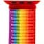 Ремінець Nylon для Apple Watch 38/40/41/42mm(ser.10) Різнокольоровий / Rainbow - мініатюра 2