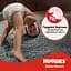 Набор подгузников Huggies Little Movers Giga 3 (4-9 кг) 168 шт. - миниатюра 9