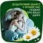 Гигиенические прокладки Naturella Ultra Night Camomile 14 шт. - миниатюра 7