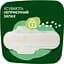 Гигиенические прокладки Naturella Ultra Night Camomile 14 шт. - миниатюра 4