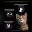 Вологий корм Purina Pro Plan Kitten Healthy Start для кошенят шматочки індички у підливці 85 г - мініатюра 7