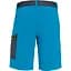 Шорты Salewa Pedroc Cargo 2 синий S - миниатюра 2