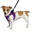 Шлея для собак Bronzedog Sport Vest M 24х18х3 см фиолетовая - миниатюра 2
